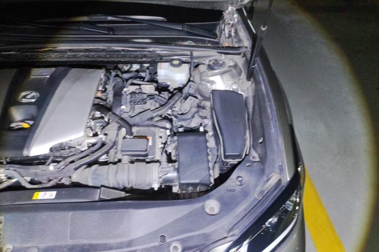 Used Lexus ES 2020 300h Premier Edition Engine Bay Left