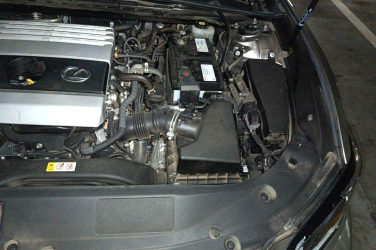 Used Lexus ES 2020 200 Excellence Edition Engine Bay Left