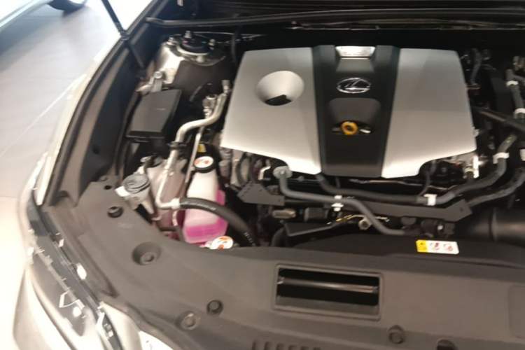 Used Lexus ES 2020 300h Premier Edition Engine Bay Right