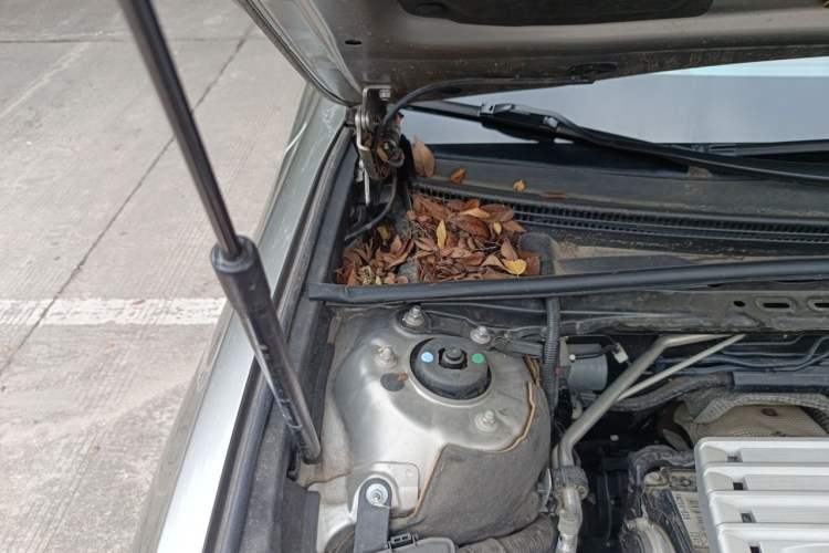 Used Lexus ES 2020 200 Excellence Edition Engine Bay Right