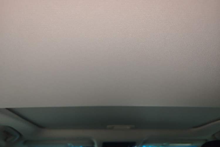 Used Lexus ES 2020 200 Excellence Edition Headliner