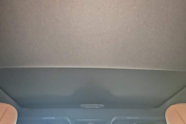 Used Lexus ES 2020 200 Excellence Edition Headliner