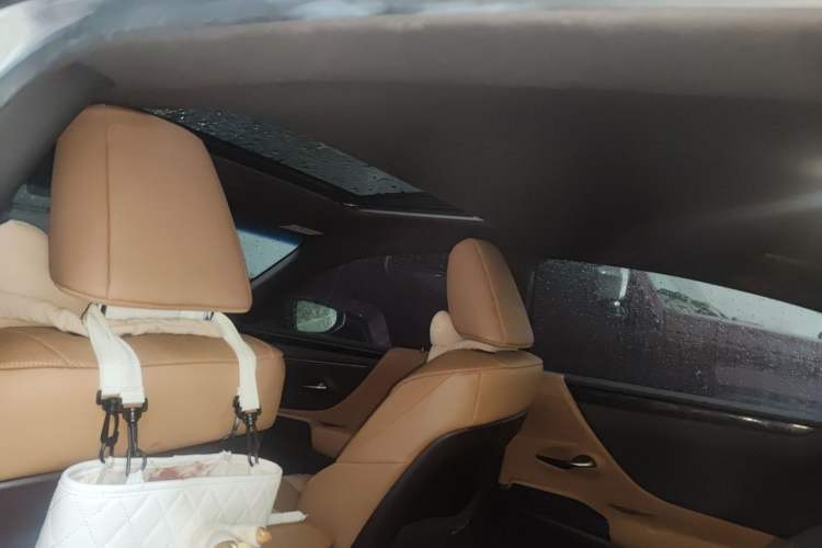 Used Lexus ES 2020 200 Excellence Edition Headliner