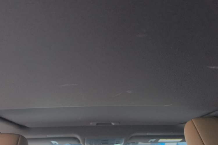 Used Lexus ES 2020 300h Premier Edition Headliner
