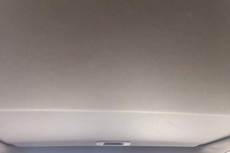 Used Lexus ES 2020 200 Excellence Edition Headliner