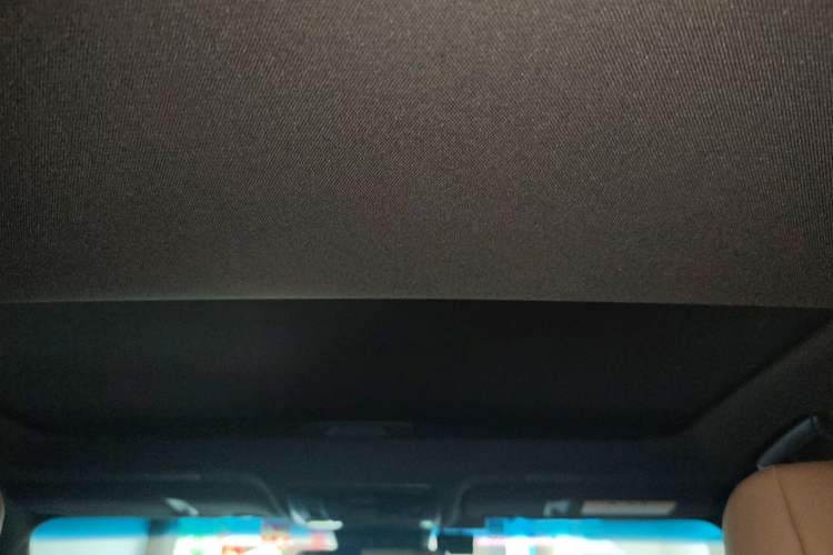 Used Lexus ES 2020 200 Excellence Edition Headliner