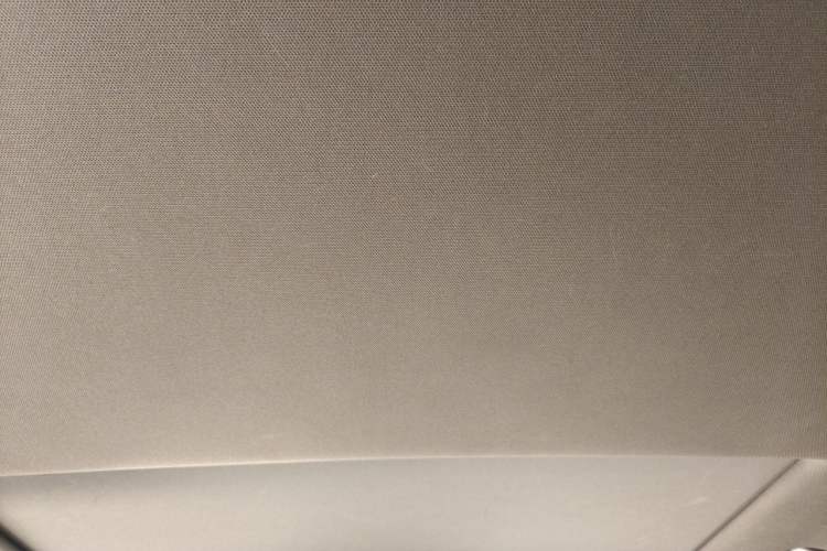 Used Lexus ES 2020 200 Excellence Edition Headliner