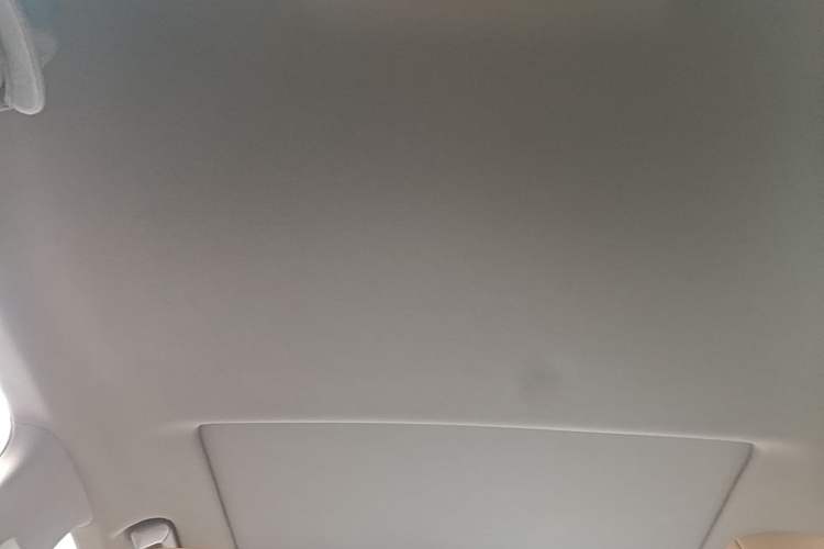 Used Lexus ES 2020 300h Executive Edition Headliner