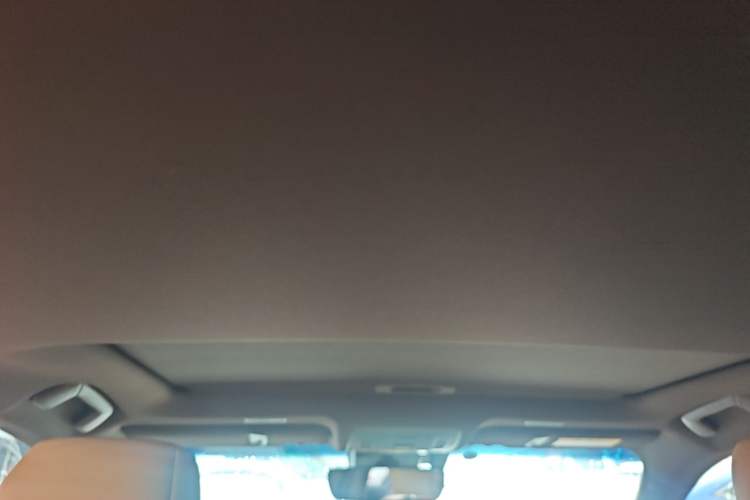Used Lexus ES 2020 300h Deluxe Edition Headliner