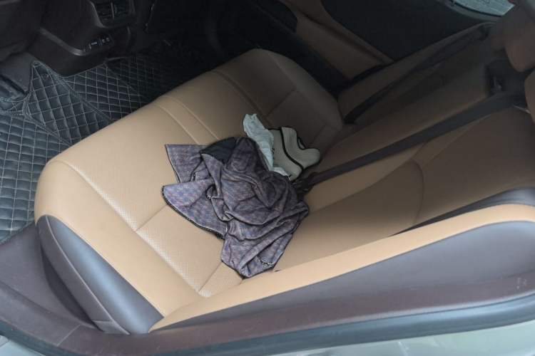Used Lexus ES 2020 300h Premier Edition Interior 4
