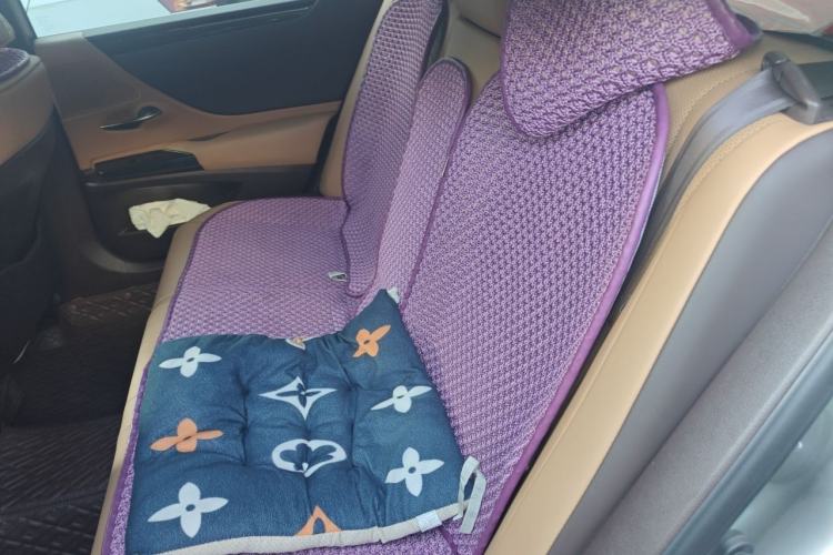 Used Lexus ES 2020 300h Premier Edition Left Rear Seat