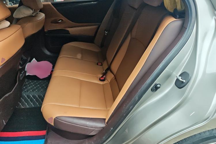 Used Lexus ES 2020 300h Premier Edition Left Rear Seat