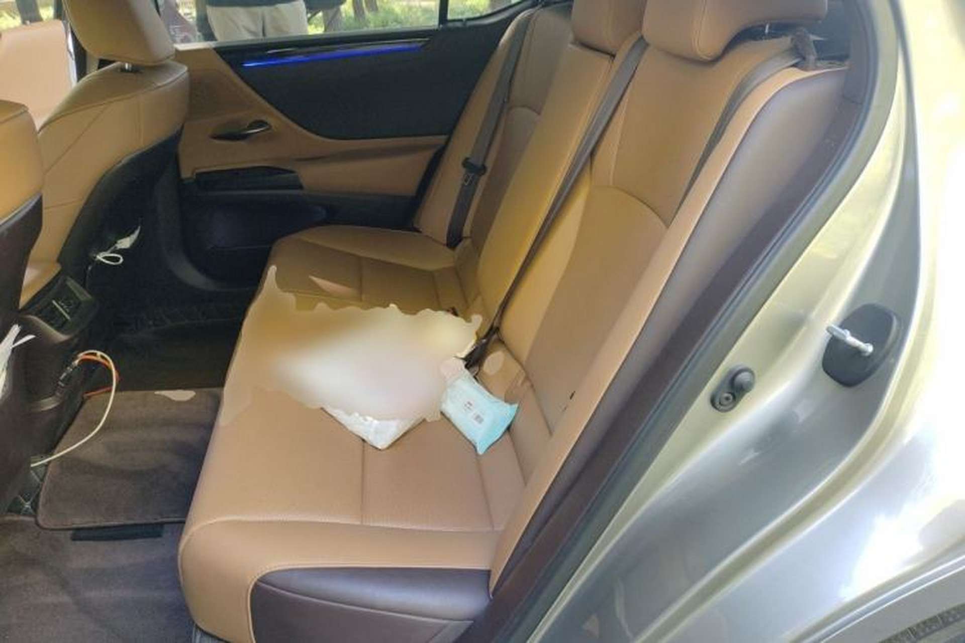 Used Lexus ES 2020 200 Excellence Edition Left Rear Seat
