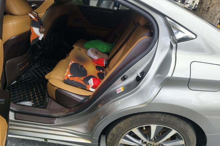 Used Lexus ES 2020 200 Excellence Edition Left Rear Seat