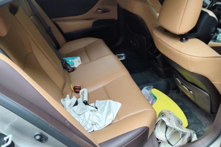 Used Lexus ES 2020 200 Excellence Edition Left Rear Seat