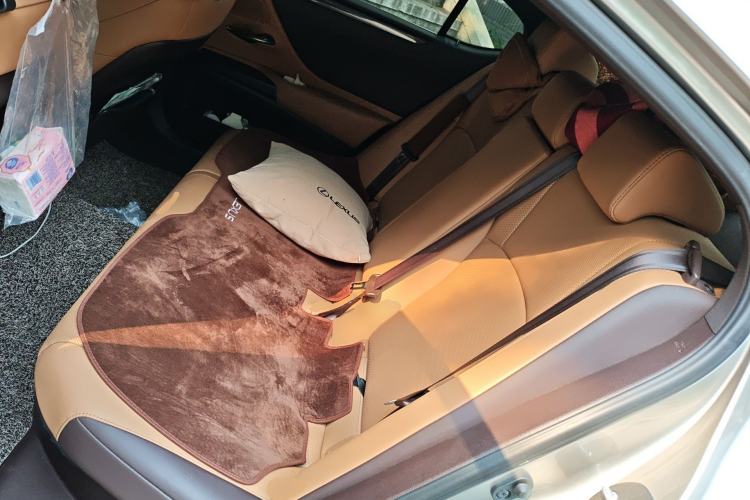 Used Lexus ES 2020 300h Premier Edition Left Rear Seat