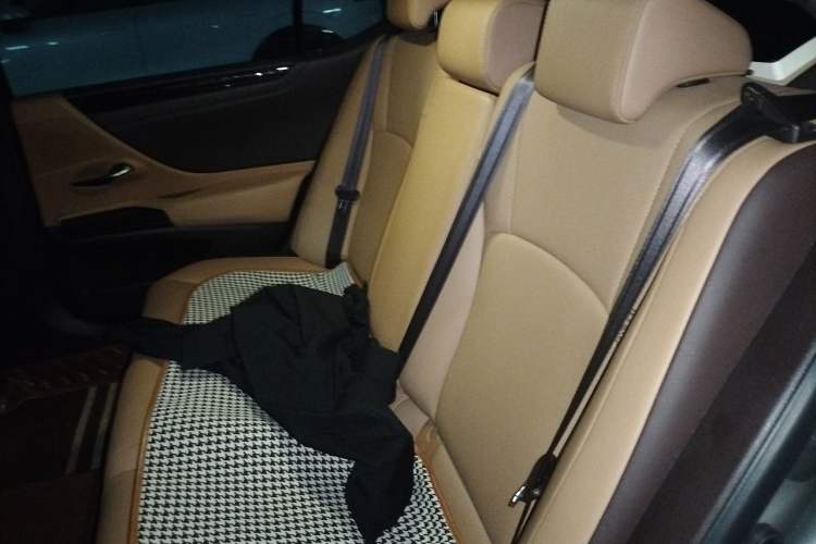 Used Lexus ES 2020 200 Luxury Edition Left Rear Seat
