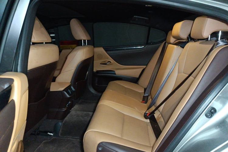 Used Lexus ES 2020 200 Excellence Edition Left Rear Seat