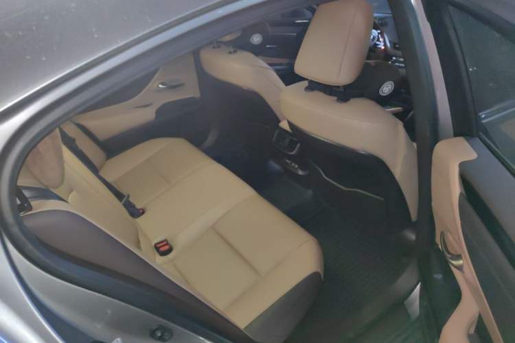 Used Lexus ES 2020 300h Premier Edition Left Rear Seat