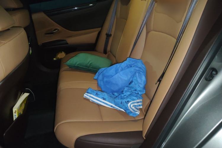 Used Lexus ES 2020 300h Premier Edition Left Rear Seat