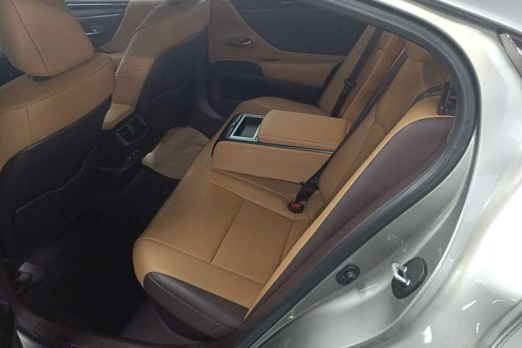 Used Lexus ES 2020 300h Premier Edition Left Rear Seat