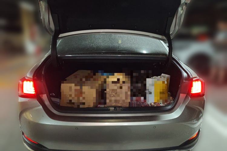 Used Lexus ES 2020 300h Premier Edition Trunk