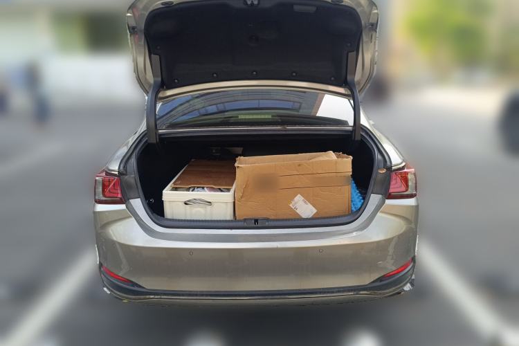 Used Lexus ES 2020 260 F SPORT Trunk