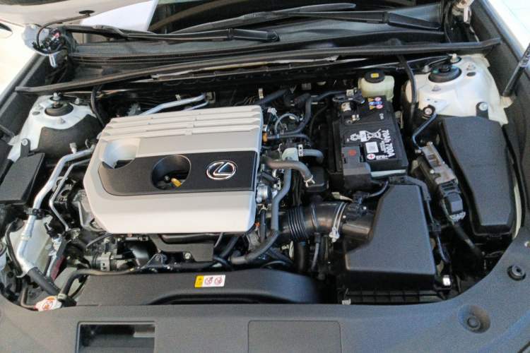 Used Lexus ES 2020 200 Excellence Edition Engine Bay