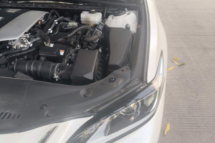 Used Lexus ES 2020 300h Premier Edition Engine Bay Left