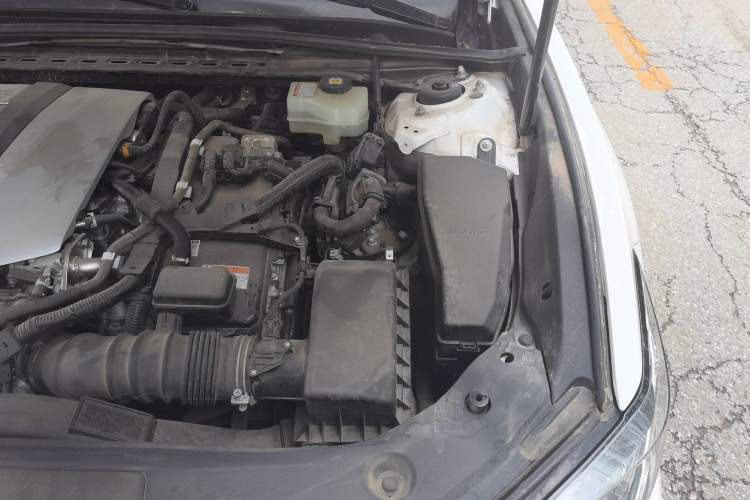 Used Lexus ES 2020 300h Premier Edition Engine Bay Left