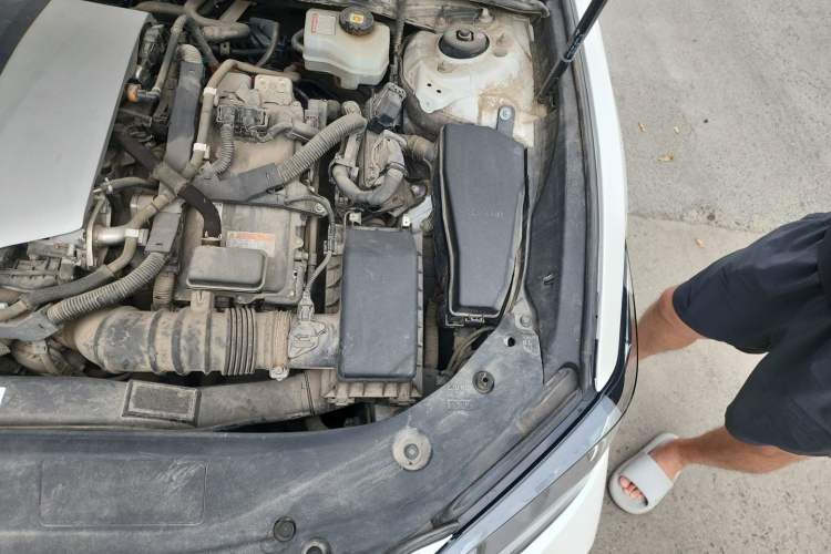 Used Lexus ES 2020 300h Premier Edition Engine Bay Left
