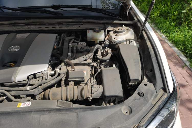 Used Lexus ES 2020 300h Premier Edition Engine Bay Left