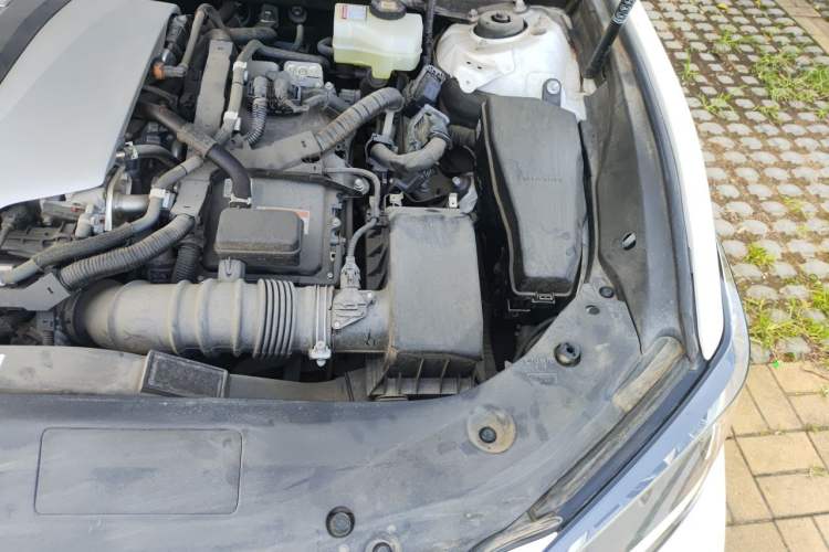 Used Lexus ES 2020 300h Premier Edition Engine Bay Left