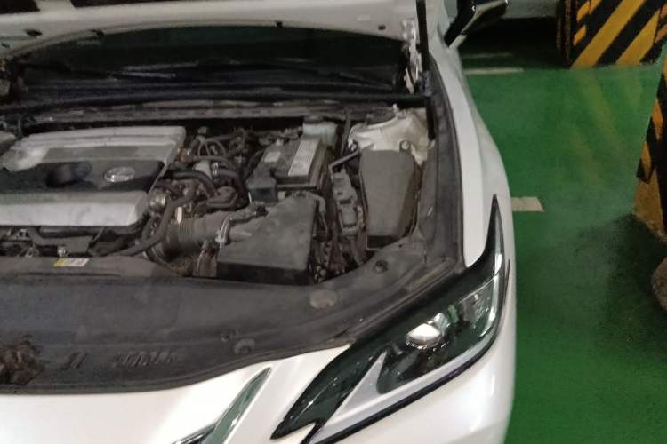 Used Lexus ES 2020 200 Excellence Edition Engine Bay Left