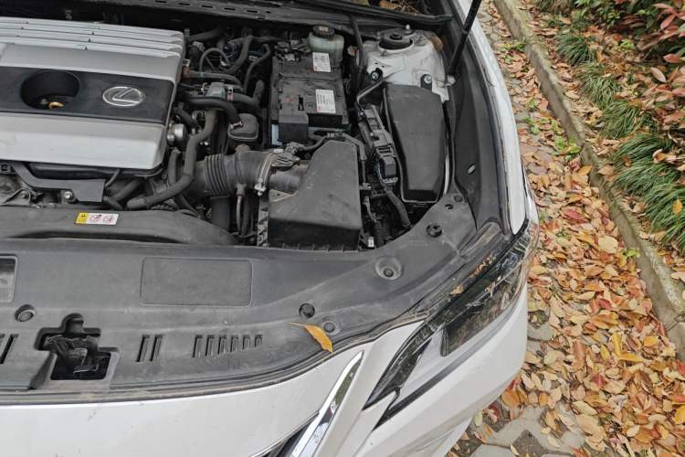 Used Lexus ES 2020 200 Excellence Edition Engine Bay Left