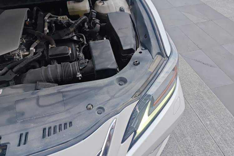 Used Lexus ES 2020 300h Deluxe Edition Engine Bay Left