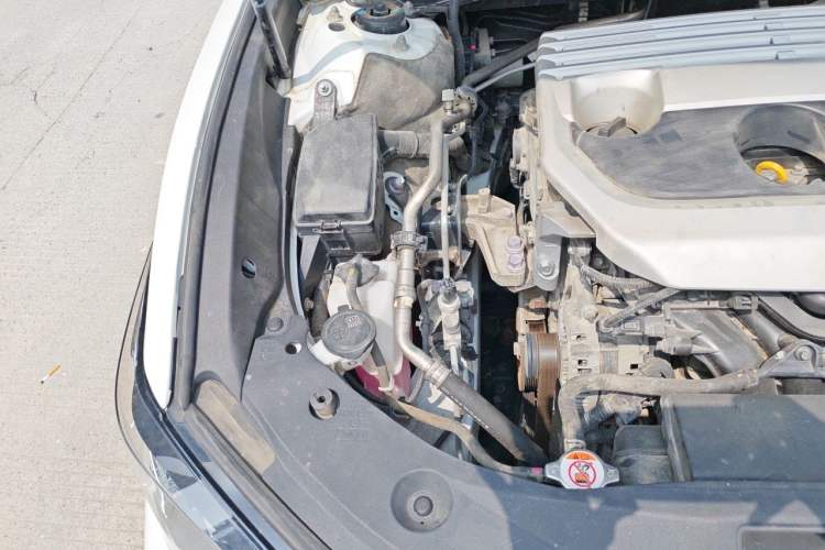 Used Lexus ES 2020 200 Excellence Edition Engine Bay Right