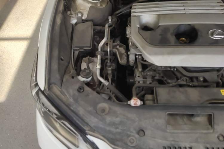 Used Lexus ES 2020 200 Excellence Edition Engine Bay Right