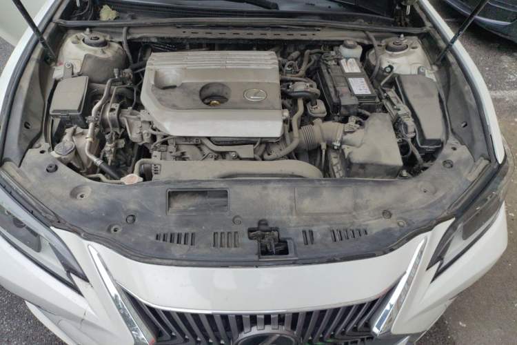 Used Lexus ES 2020 200 Excellence Edition Engine Bay