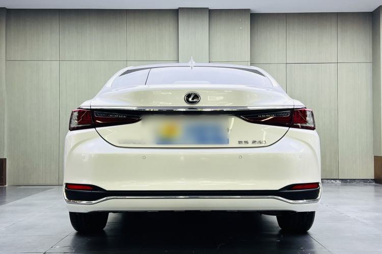 Used Lexus ES 2020 200 Excellence Edition Exterior 6