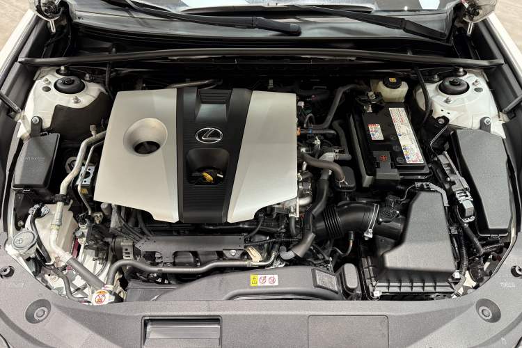 Used Lexus ES 2020 260 Excellence Edition Exterior 8