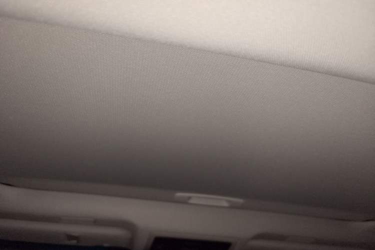 Used Lexus ES 2020 200 Excellence Edition Headliner