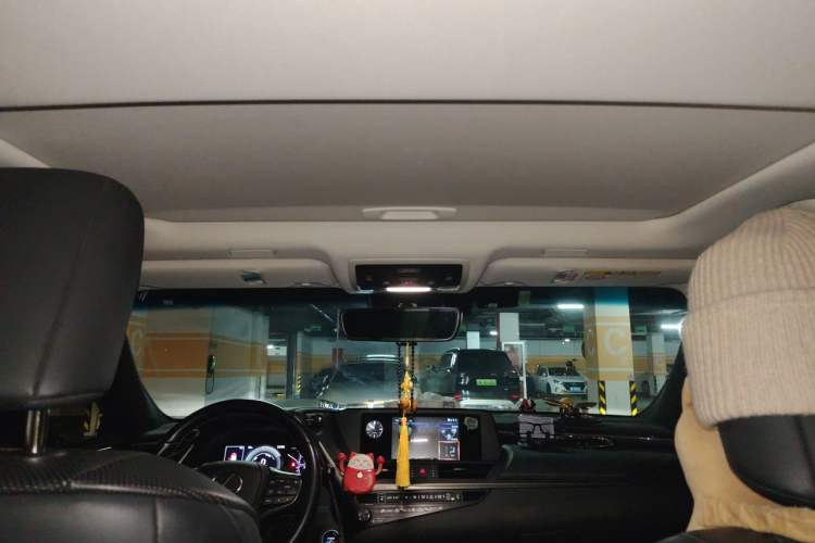 Used Lexus ES 2020 300h Premier Edition Headliner