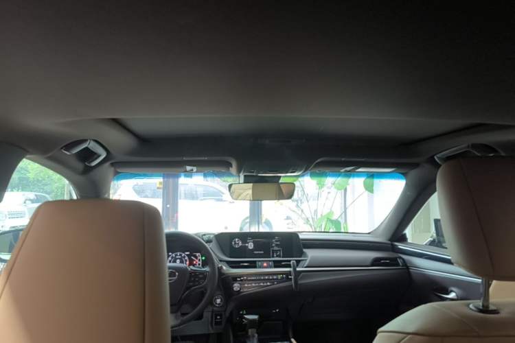 Used Lexus ES 2020 200 Excellence Edition Headliner