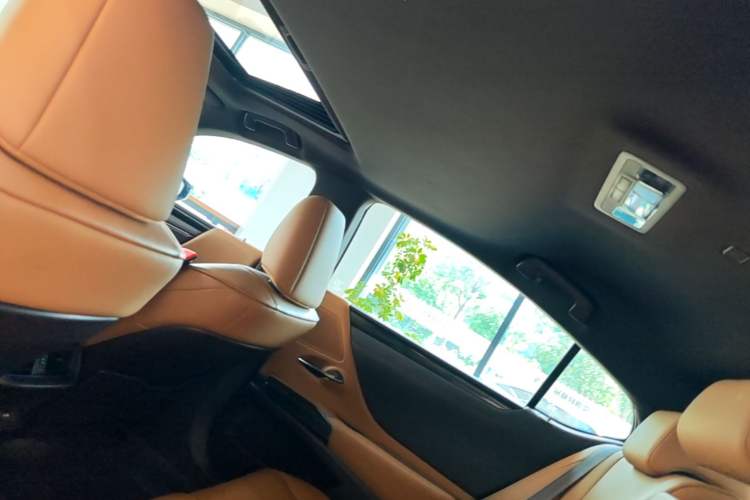 Used Lexus ES 2020 200 Excellence Edition Headliner