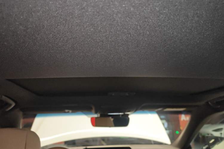 Used Lexus ES 2020 300h Executive Edition Headliner