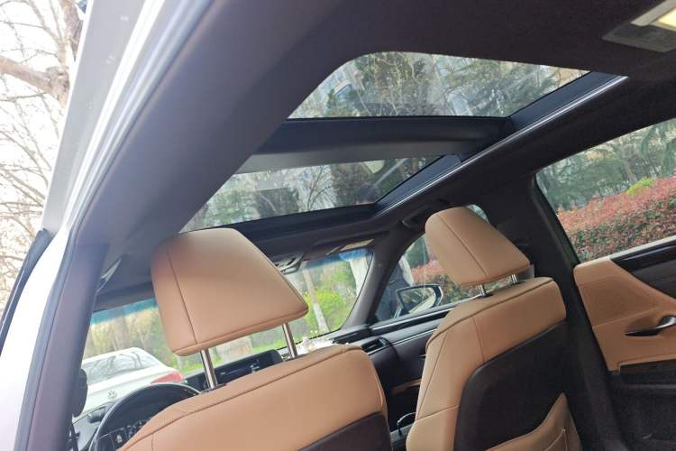Used Lexus ES 2020 260 Deluxe Edition Headliner