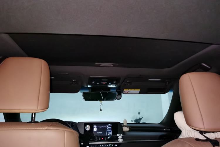 Used Lexus ES 2020 200 Excellence Edition Headliner