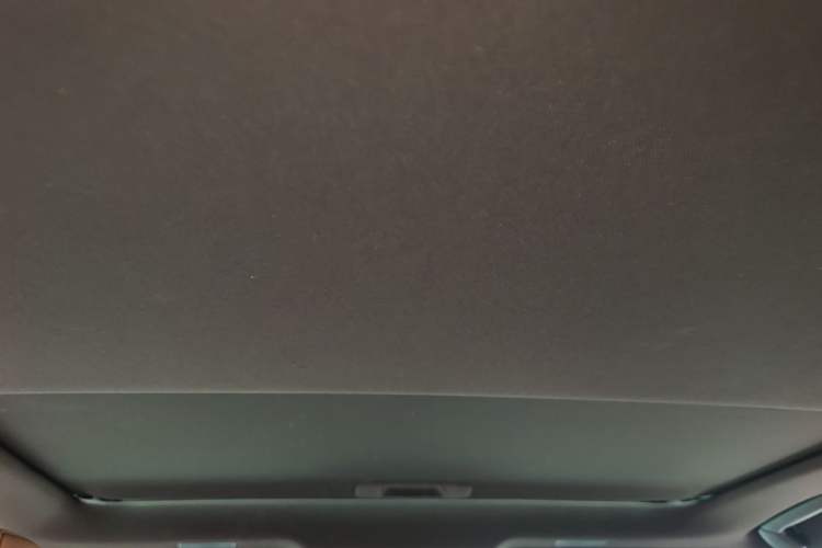 Used Lexus ES 2020 200 Excellence Edition Headliner