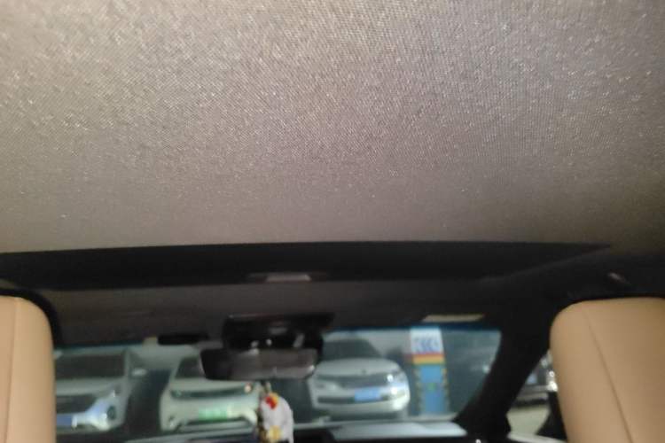 Used Lexus ES 2020 200 Excellence Edition Headliner